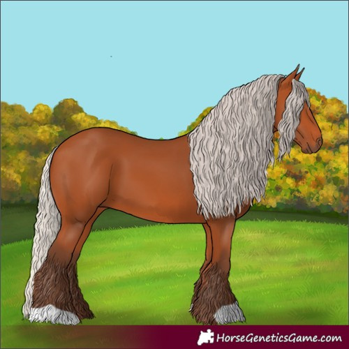 Horse Color:Silver Bay 