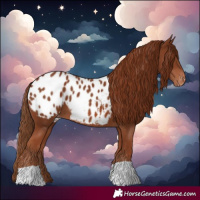 Horse Color:Chestnut Blanket 