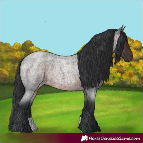 Horse Color:Brown Roan