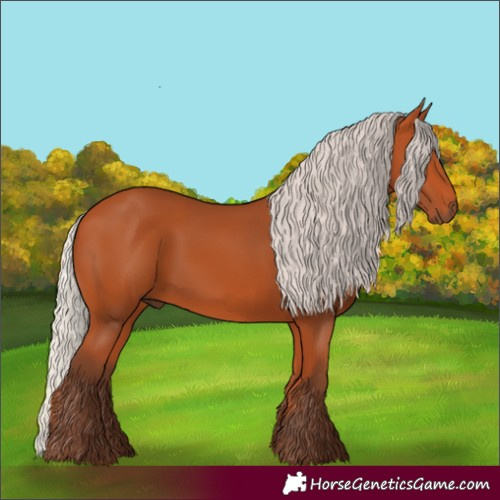 Horse Color:Silver Bay