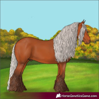 Horse Color:Silver Bay