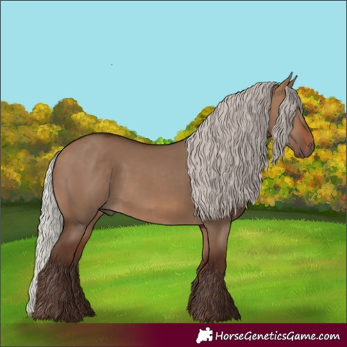 Horse Color:Silver Bay Dun