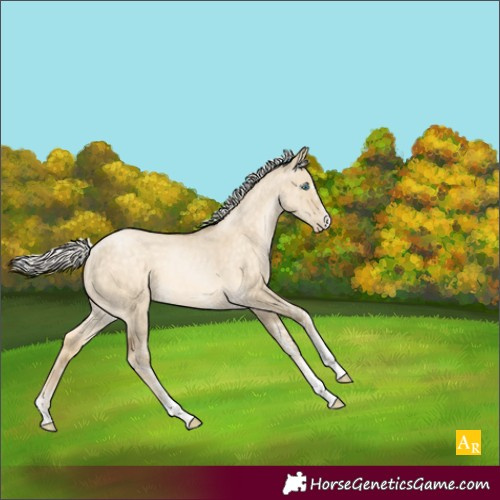 Horse Color:White Spotted Silver Buckskin Pearl Dun Tobiano
