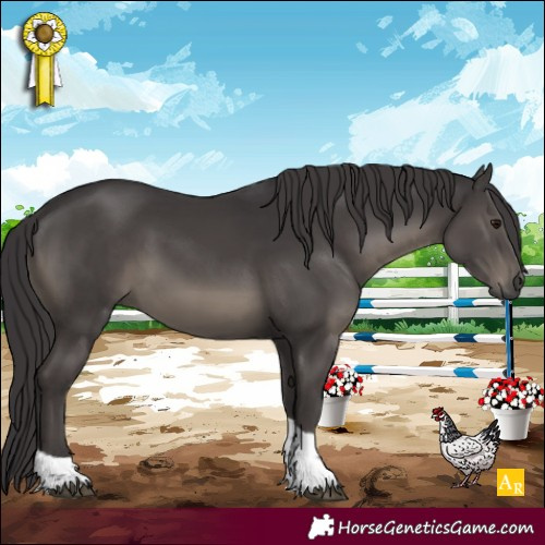 Horse Color:Smoky Black Tobiano 