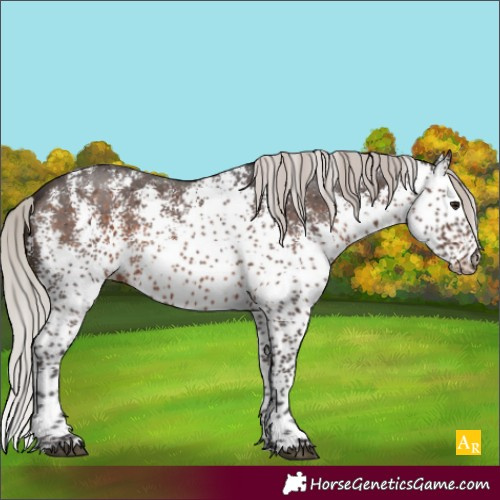 Horse Color:White Spotted Silver Brown
