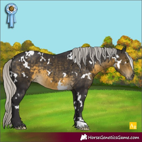 Horse Color:White Spotted Silver Buckskin 