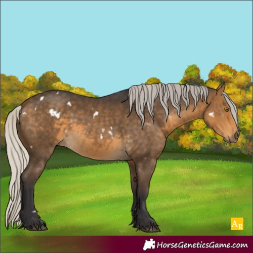 Horse Color:White Spotted Silver Buckskin