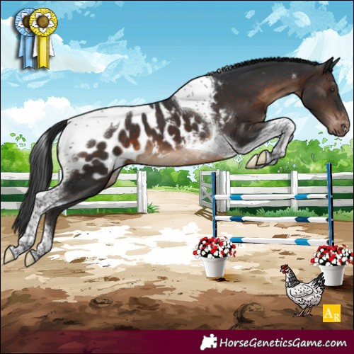 Horse Color:Brown Tobiano Near Leopard