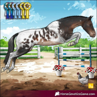 Horse Color:Brown Tobiano Near Leopard