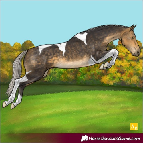 Horse Color:Silver Buckskin Mushroom Tobiano