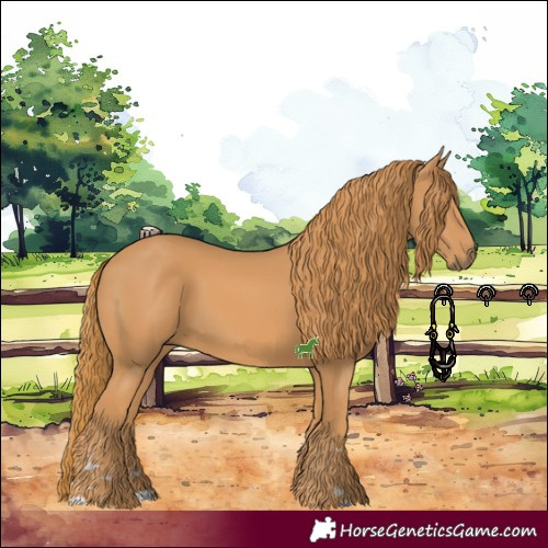 Horse Color:Chestnut 