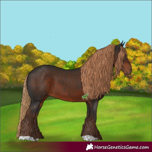 Horse Color:Liver Chestnut 
