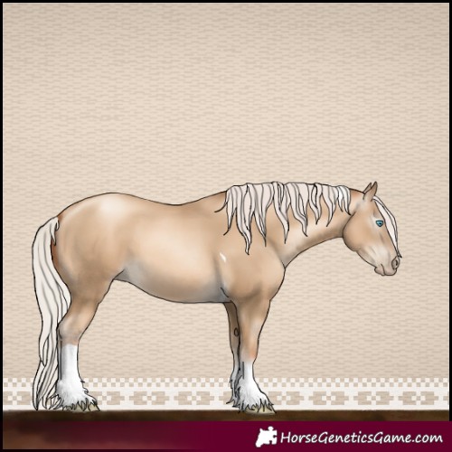Horse Color:Gray Silver Sable Cream Champagne Pearl Tobiano 