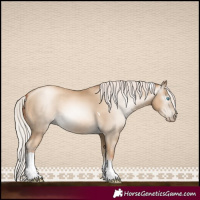 Horse Color:Gray Silver Sable Cream Champagne Pearl Tobiano