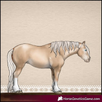 Horse Color:Gray Silver Sable Cream Champagne Pearl Tobiano