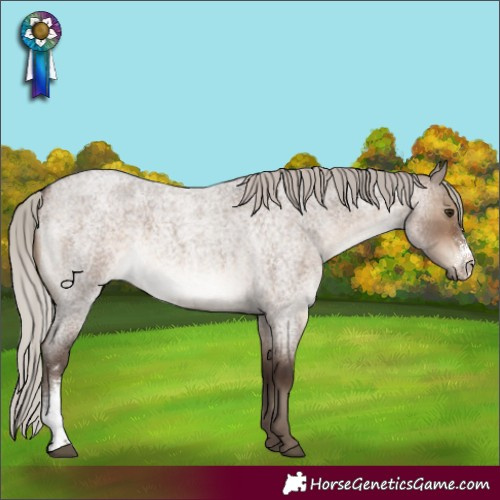 Horse Color:Silver Brown Roan Dun Sabino 