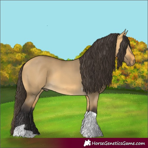Horse Color:Buckskin Dun Tobiano