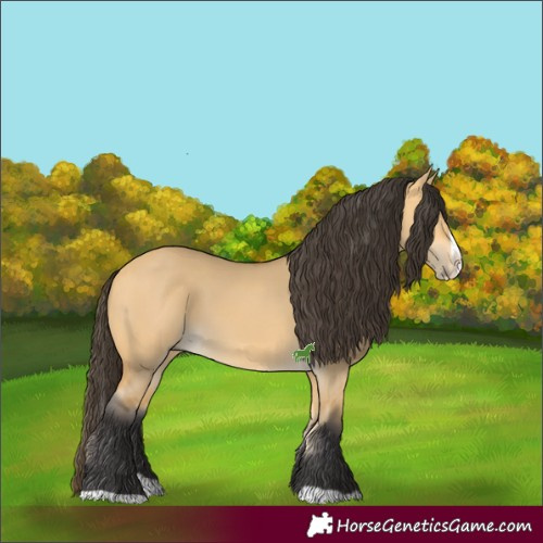Horse Color:Buckskin Dun Splash 