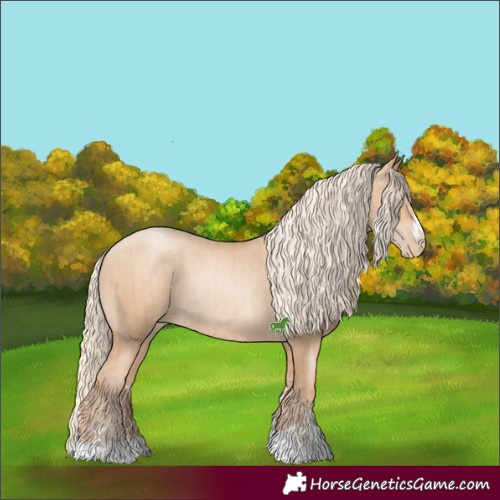Horse Color:Gold Champagne Pearl Rabicano and Gold Champagne Pearl Rabicano