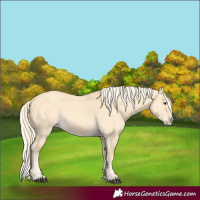 Horse Color:Palomino Dun Splash 