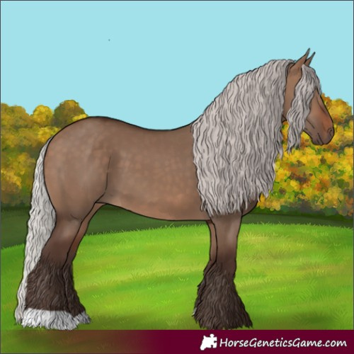 Horse Color:Silver Brown Dun 