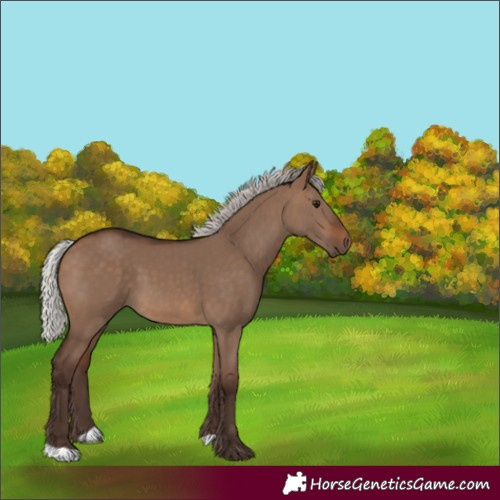 Horse Color:Silver Brown Dun