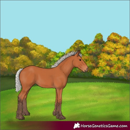 Horse Color:Silver Bay
