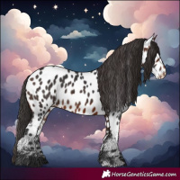 Horse Color:Brown Near Leopard 