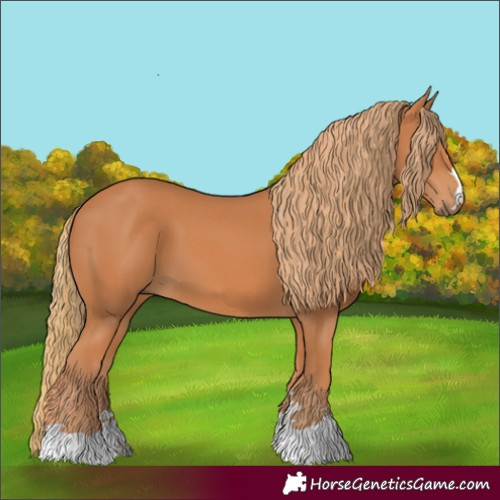 Horse Color:Chestnut 