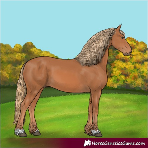 Horse Color:Chestnut 