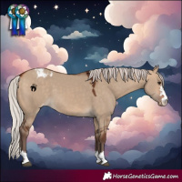 Horse Color:Silver Bay Dun Varnish 