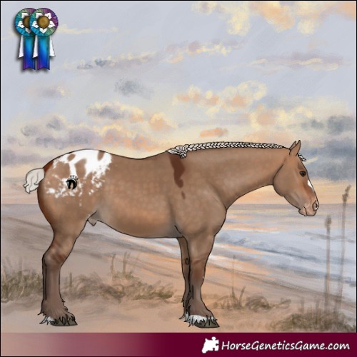 Horse Color:Silver Bay Dun Blanket 