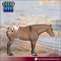 Horse Color:Silver Bay Dun Blanket