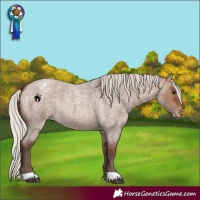 Horse Color:Silver Bay Roan Dun Varnish 