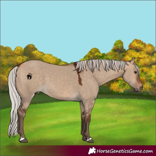 Horse Color:Silver Bay Dun