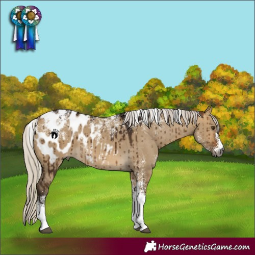 Horse Color:Powder White Gray Silver Buckskin Dun Appaloosa Brindle 