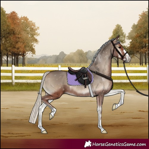 Horse Color:Silver Blue Onyx Rabicano 