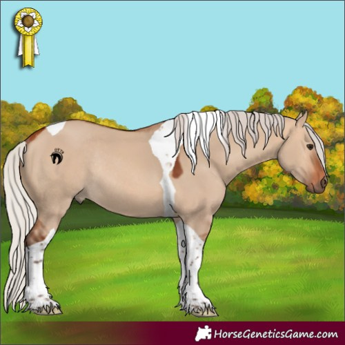 Horse Color:Silver Bay Dun Tobiano Rabicano 