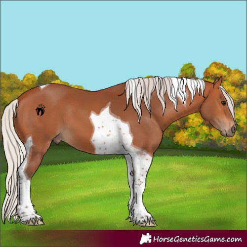 Horse Color:Silver Bay Tobiano 