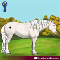 Horse Color:Powder White Silver Perlino Dun 