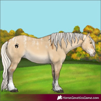 Horse Color:Powder White Silver Buckskin Dun 