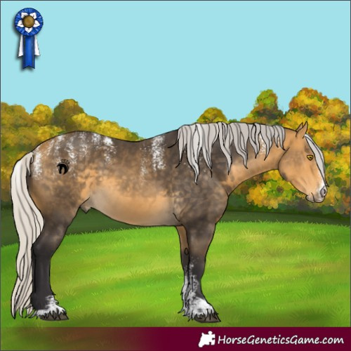 Horse Color:Powder White Silver Buckskin 