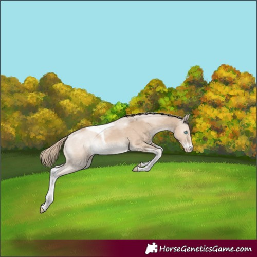 Horse Color:Smoky Creme Sabino Tobiano Rabicano 