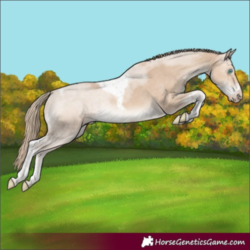 Horse Color:Smoky Creme Sabino Tobiano Rabicano 