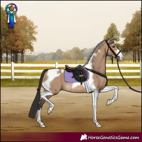 Horse Color:Bay Dun Tobiano Rabicano