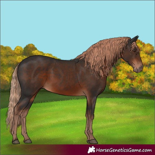 Horse Color:Liver Chestnut 