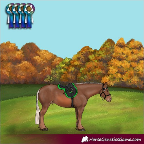 Horse Color:Chestnut Mushroom Varnish