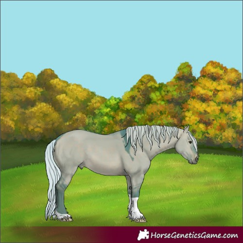 Horse Color:Watercolor Silver Brown Dun Tobiano 