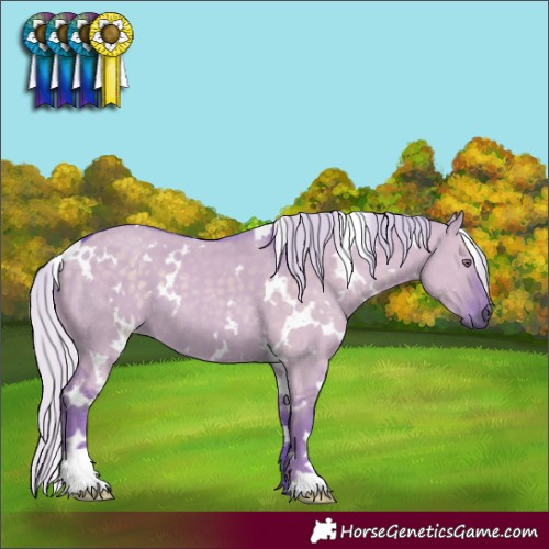 Horse Color:Watercolor White Spotted Silver Grullo Chinchilla 