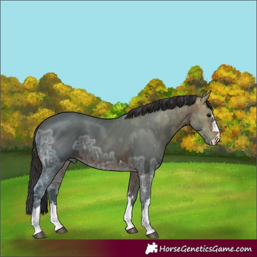 Horse Color:Brown Ice